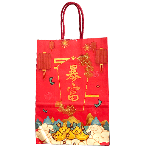 Bolsa de Papel China 21*15*8